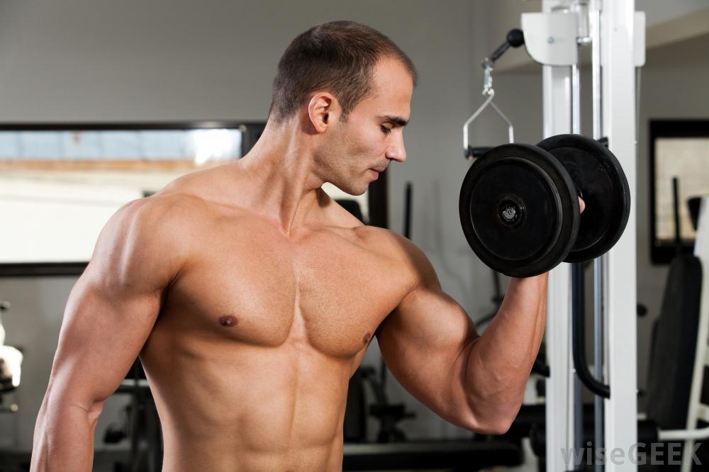 Does Muscle Maximizer Work - Review Does Muscle Maximizer Work - Review