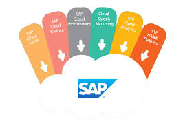 SAP BPC courses SAP HANA Training
