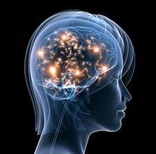 http://brainfireadvice  http://brainfireadvice.com/genbrain/