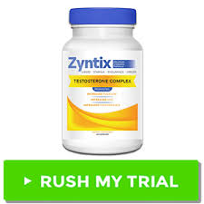 download  Zyntix 