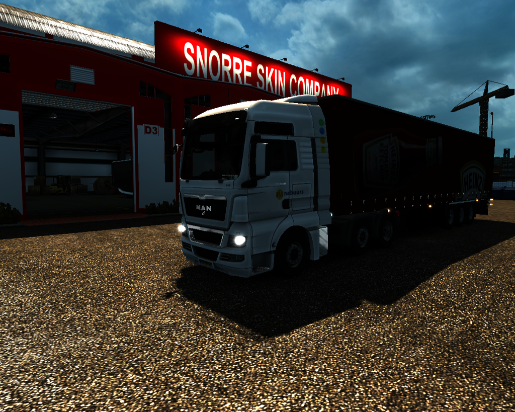 ets2 Man TGX 26 - prive skin ets2