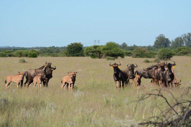 Kenya Budget Tours Picture Box