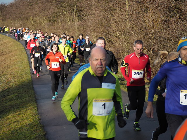 P1080386 Halve van Westvoorne 8-1-2017