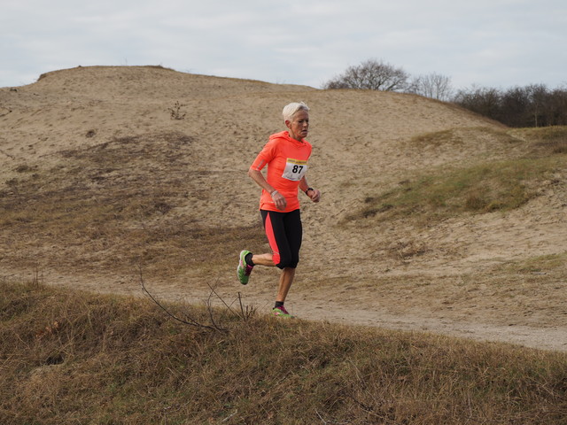 P1080652 Halve van Westvoorne 8-1-2017