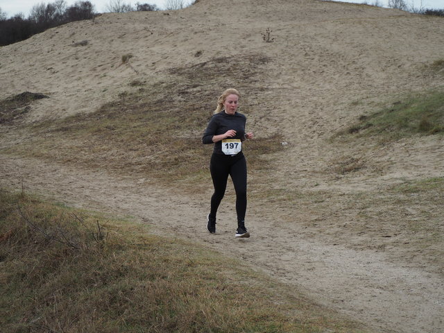 P1080836 Halve van Westvoorne 8-1-2017