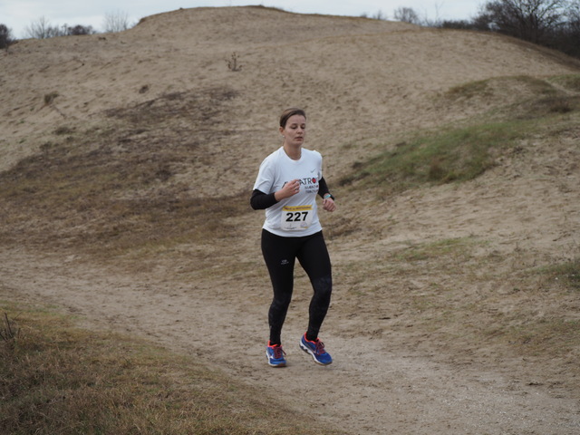 P1080841 Halve van Westvoorne 8-1-2017