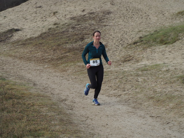 P1080898 Halve van Westvoorne 8-1-2017