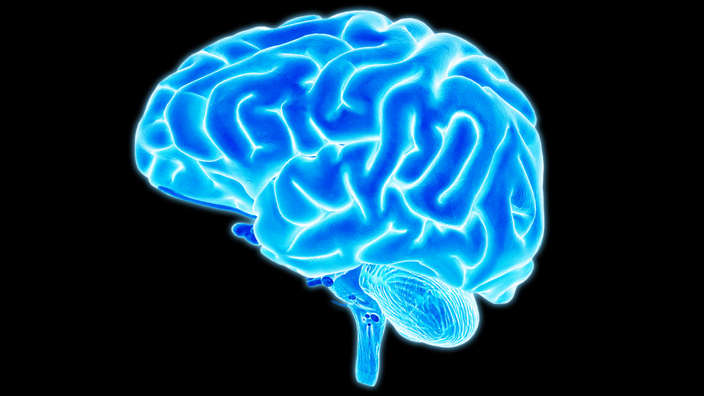 brain Picture Box