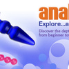 default anal toys - Adult toys banners