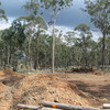 land-clearing -  JK COOPER TREE SERVICES