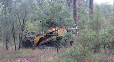 lard clearing  JK COOPER TREE SERVICES