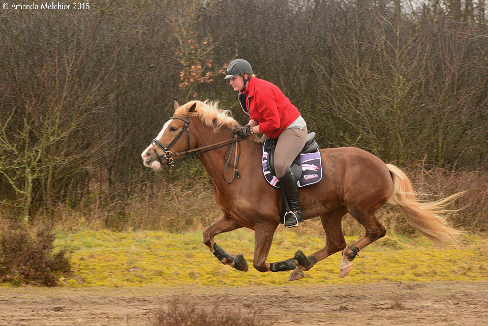 3c examples