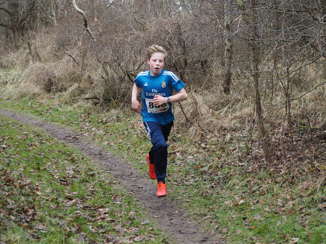 P1291078 Lengkeek Cross Jeugd 29-1-2017