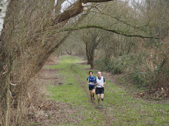 P1291266 Lengkeek Kruininger Gorscross 29-1-2017