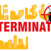 Bed Bug Exterminator Dallas - Bed Bug Exterminator Dallas