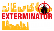 Bed Bug Exterminator Dallas Bed Bug Exterminator Dallas