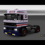 ets2 Daf 3600 ATI 4x2 Space... - prive skin ets2