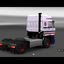 ets2 Daf 3600 ATI 4x2 Space... - prive skin ets2