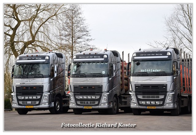 Weide & zn.  Jan van der Line-up (21)-BorderMaker Richard