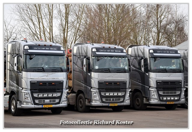 Weide & zn.  Jan van der Line-up (23)-BorderMaker Richard