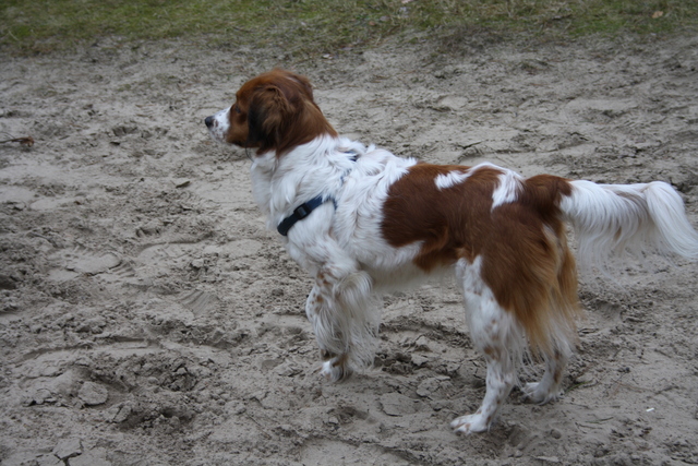 IMG 2924 Wandeling-schipborg