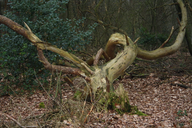 IMG 2933 Wandeling-schipborg