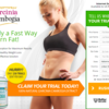 http://healthcareschat.com/exceptional-garcinia-cambogia/