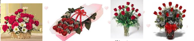 Edmonton florists free delivery in Canada Picture Box