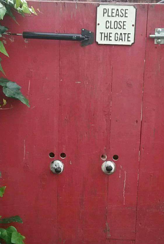 16473697 10209937798016005 2763283011842499740 n - 