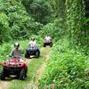 Best Buggy Tours Marbella - Picture Box