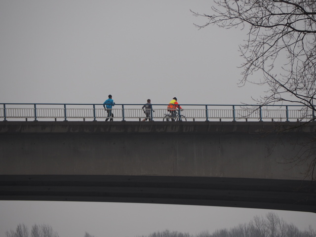 P2120032 Alpe d'Huzes Brielse brugloop 12-2-2017