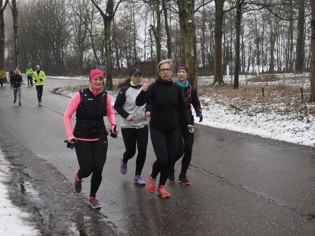 P2120195 Alpe d'Huzes Brielse brugloop 12-2-2017