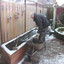 Tuin - Kleine klusjes 13-02... - Gazon en de voorbereidingen 09+10+13+14-02-17