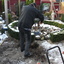 Tuin - Kleine klusjes 13-02... - Gazon en de voorbereidingen 09+10+13+14-02-17