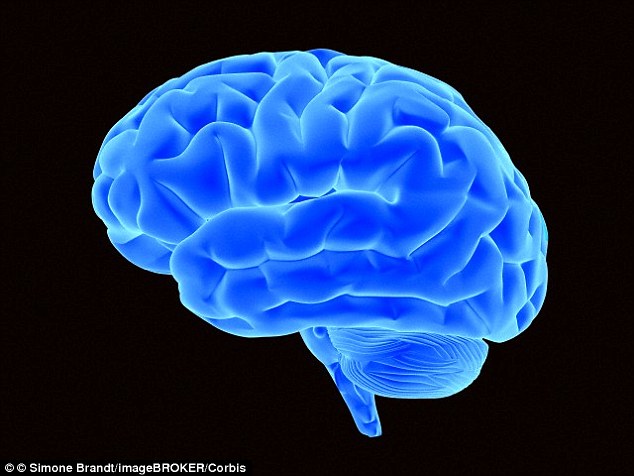 1411575942262 wps 55 Bright blue brain 3D illu http://ultrafinesseblog.com/neurofuse-enhance/