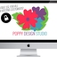 web design Market Harborough - Poppy Design Studio