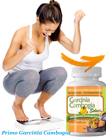 4454599 How Does Primo Garcinia Cambogia cambogia Job?