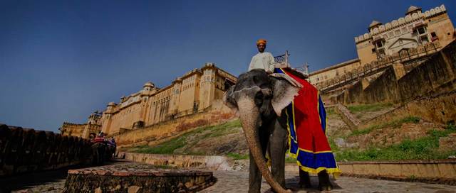 Jaipur Tours Bhati Tours