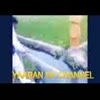 pakistani funny clips - You... - Archie Johnstone Plumbing &...