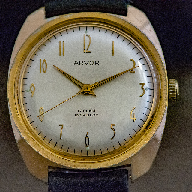 ARVOR My Watches