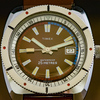 TIMEX-2 - My Watches