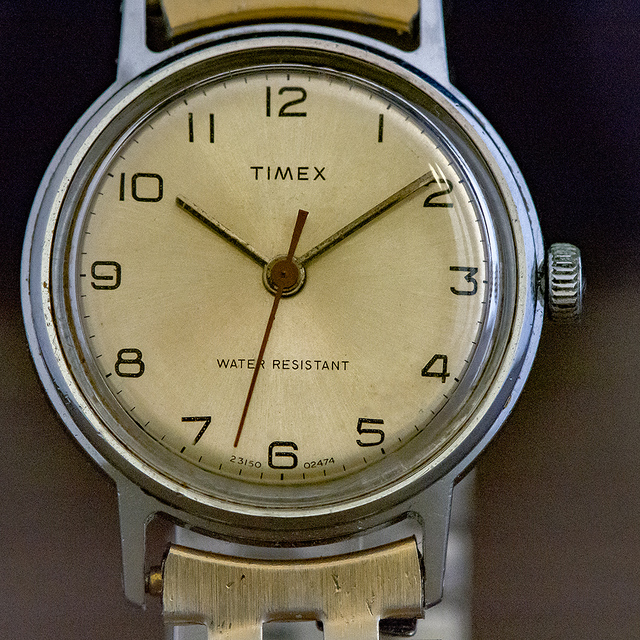 TIMEX-9 My Watches