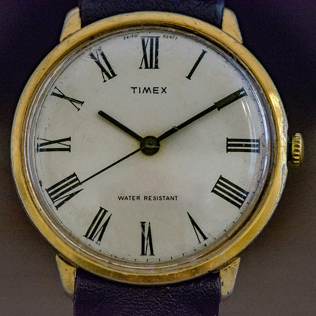 TIMEX-10 My Watches
