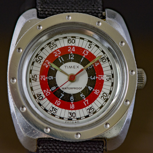 TIMEX-12 My Watches