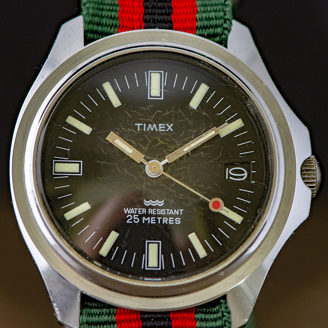 TIMEX-19 My Watches