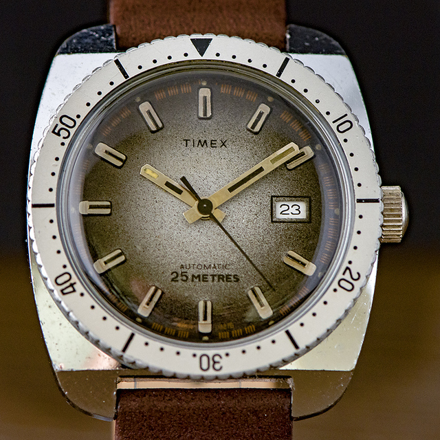 TIMEX-21 My Watches