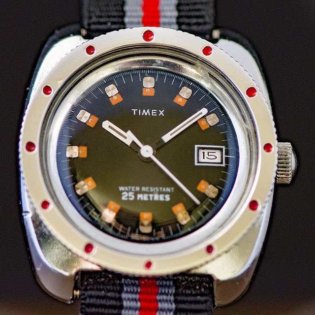 TIMEX-24 My Watches