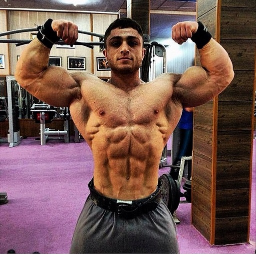 Bodybuilding-Men-Instagram-adhamsaleh94 http://megacleanseradvice.com/muscle-builder-flex/
