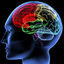 brain-regions-100414-02 - http://garciniacambogiasensationblog.com/clarityx/