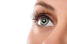 images (10) http://skincaresfreetrial.com/lash-revitalize/